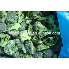 China organic iqf frozen broccoli seeds